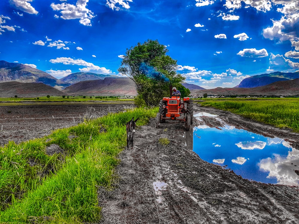 person riding red tractor