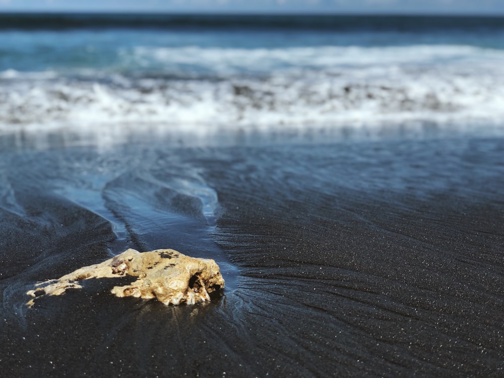 stone on beach