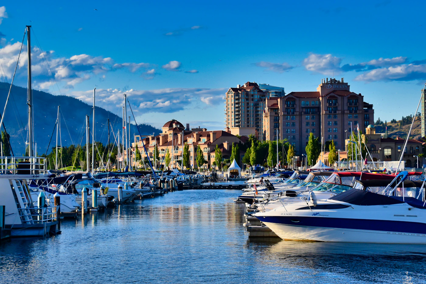 Sailboats and yachts moored on the calm blue waters of Okanagan Lake in Kelowna