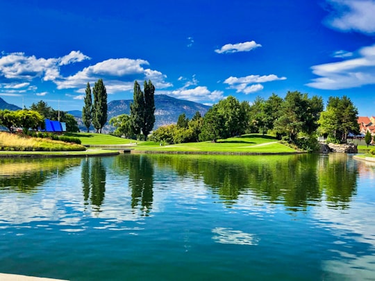 reflection on green trees during daytime in Kelowna Canada