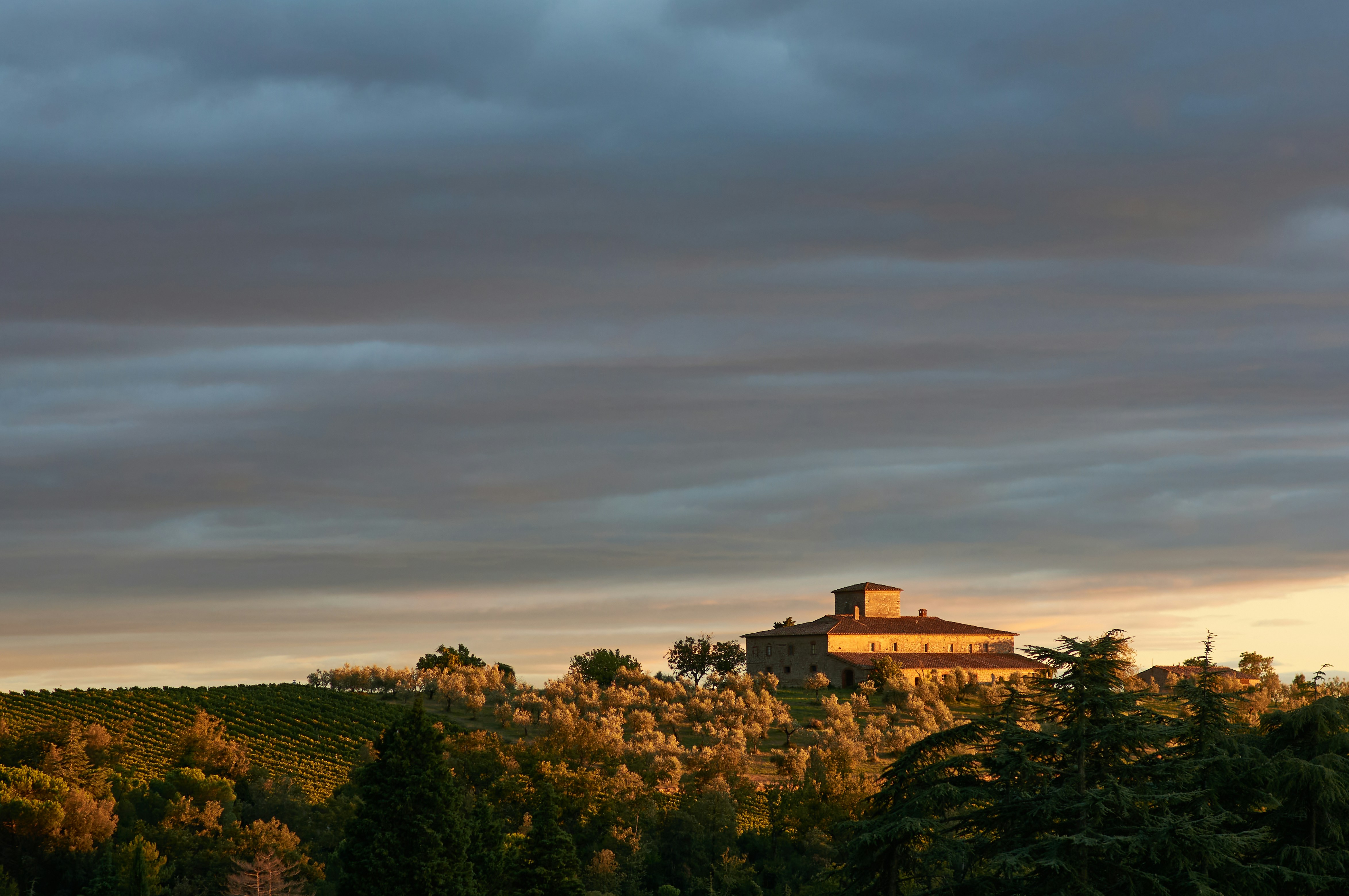 Photo by wolfgang_hasselmann