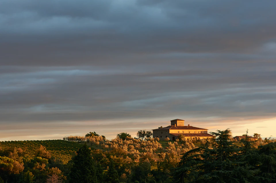 The image depicts a picturesque scene with a large, multi-level building situated on a hilltop surrounded by lush greenery and trees. The building has a distinctive brown facade that blends harmoniously with its natural surroundings. The sky above is filled with clouds, casting a soft light over the landscape below. In the foreground, there are rows of trees and bushes, adding depth to the scene and creating a sense of tranquility.