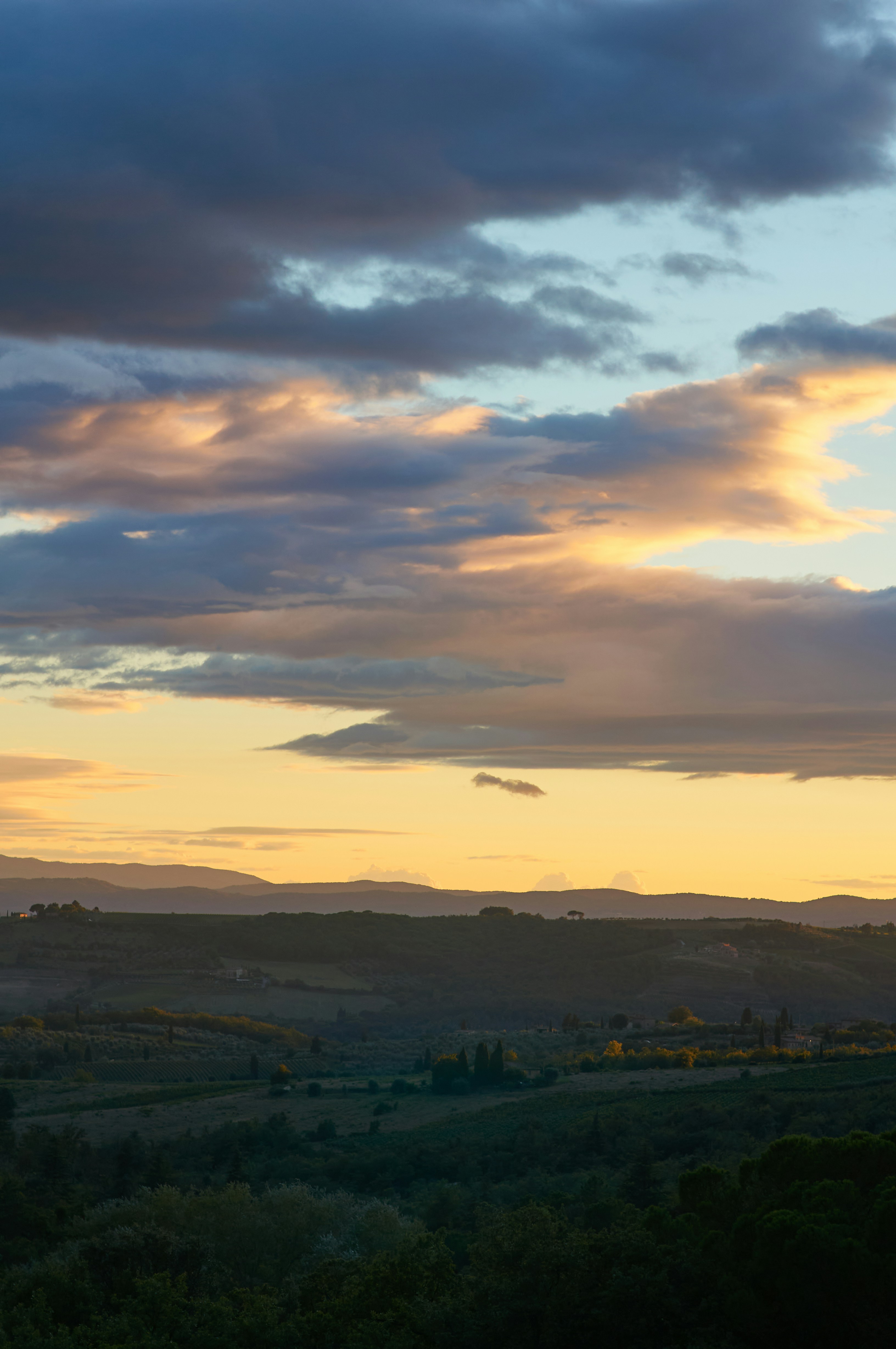 Photo by wolfgang_hasselmann