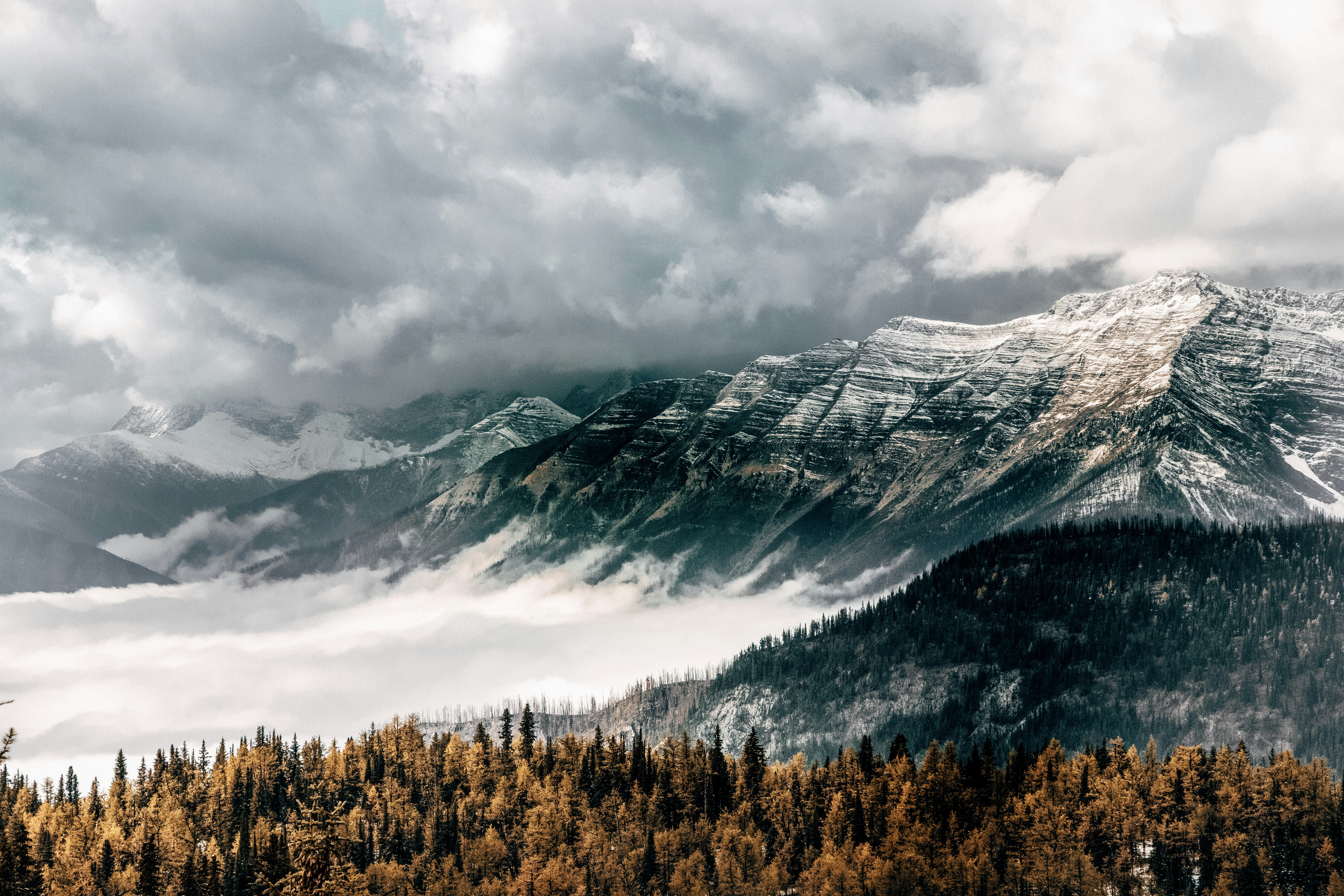 Photo by jacklikethings