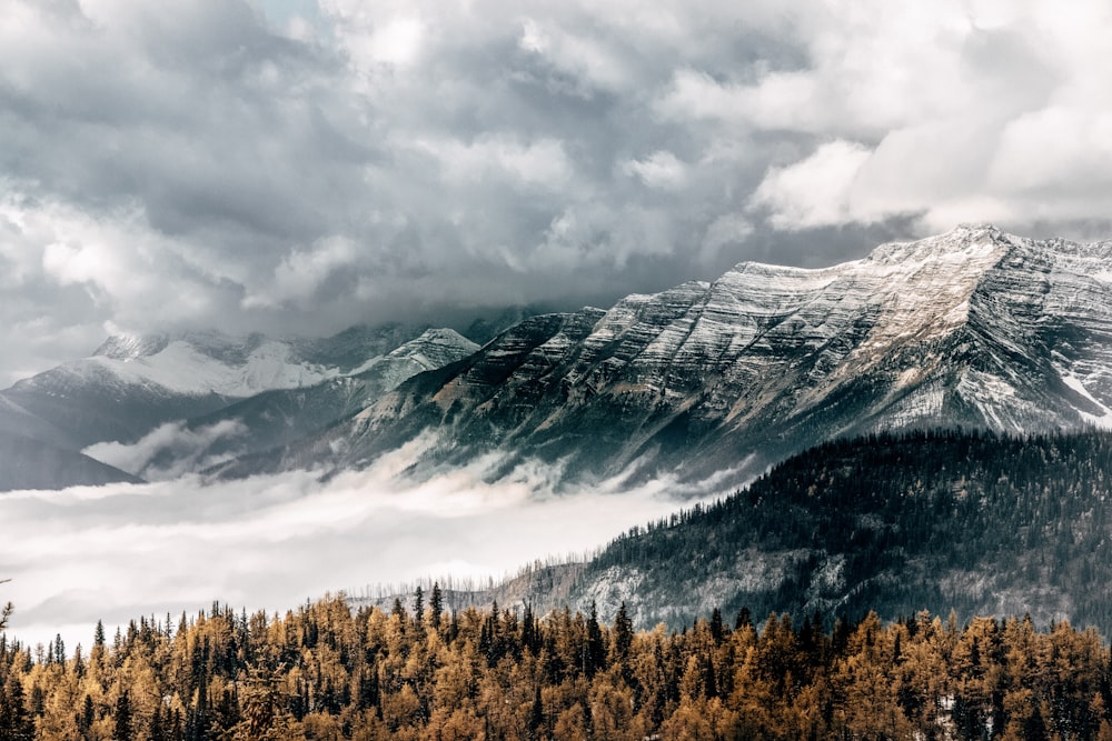 aerial photography of foggy mountain range