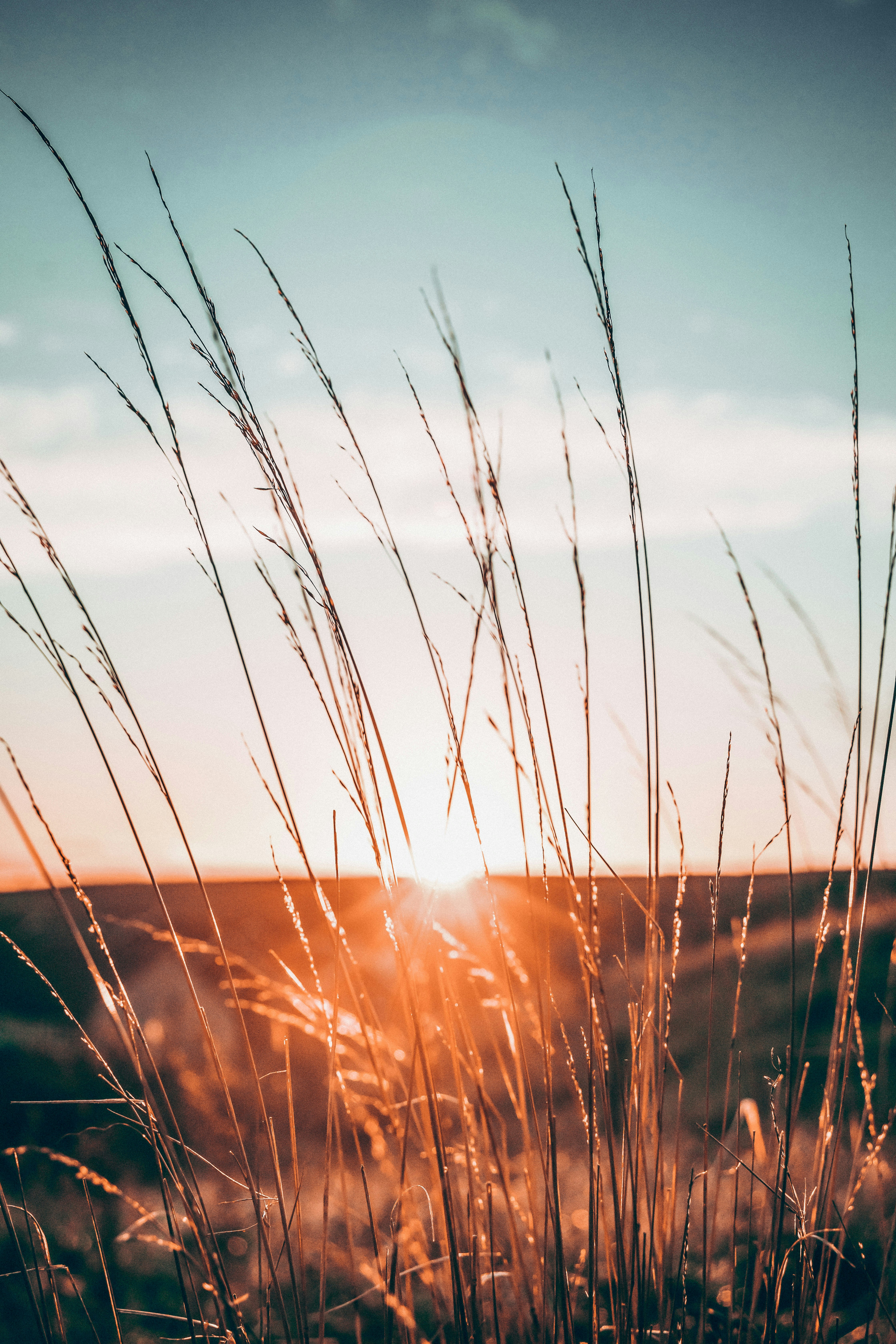 Photo by jacklikethings