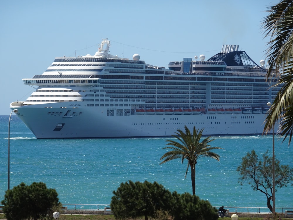 Crucero blanco cerca de la isla