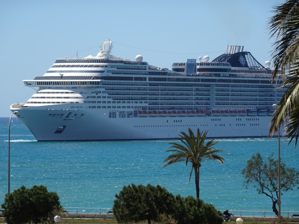 white cruise ship near island