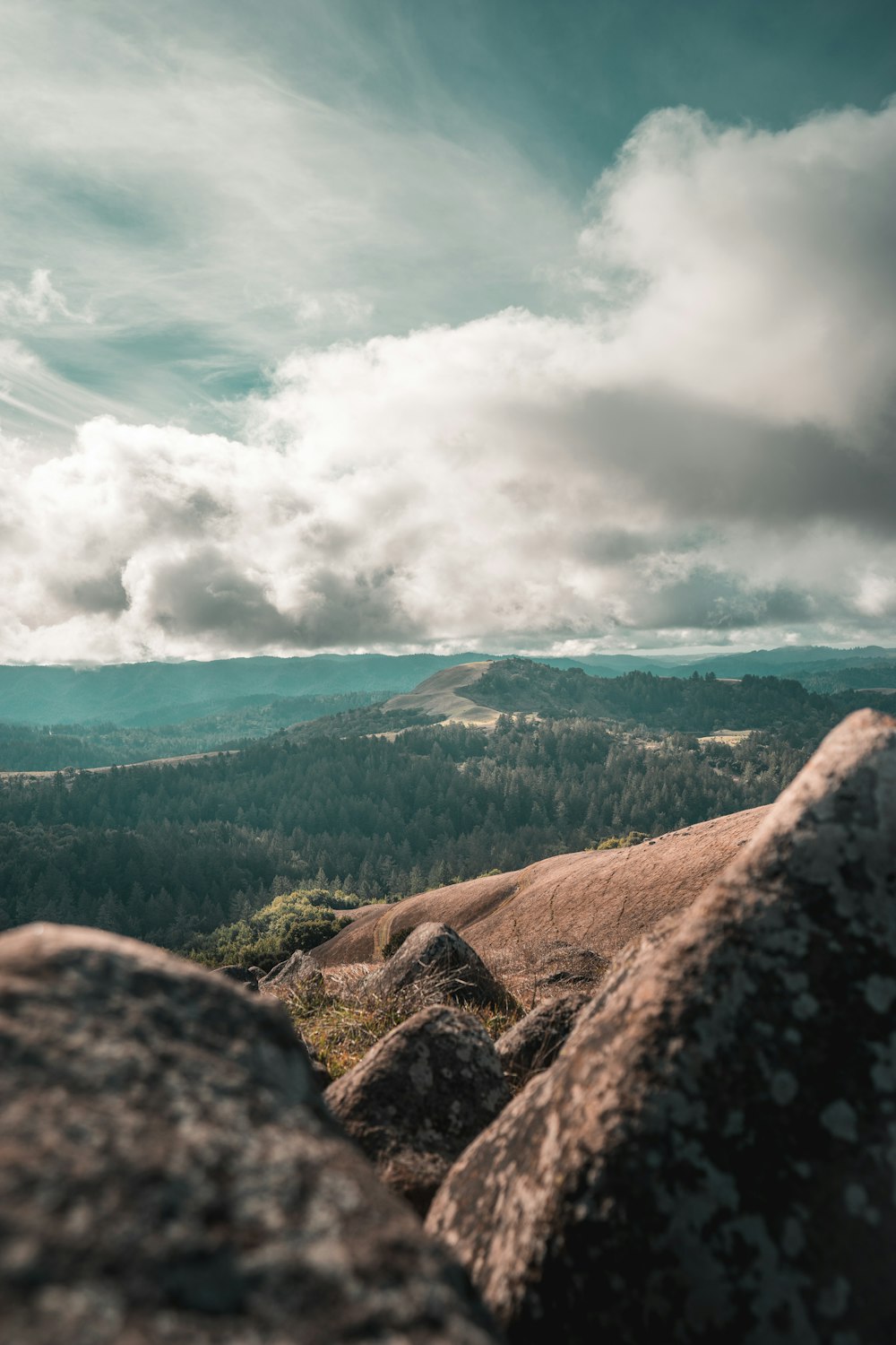 white clouds