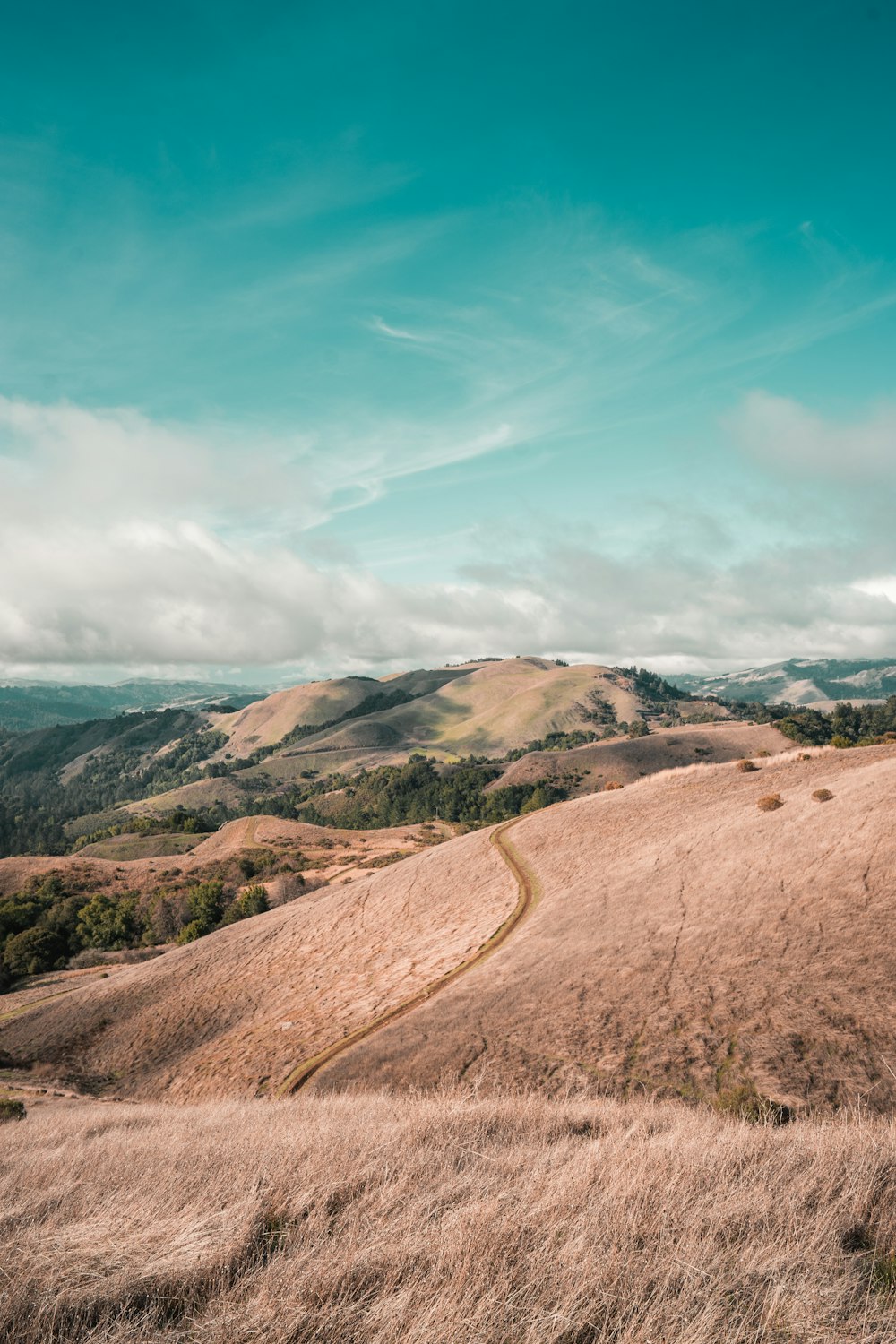 brown hills under green sky