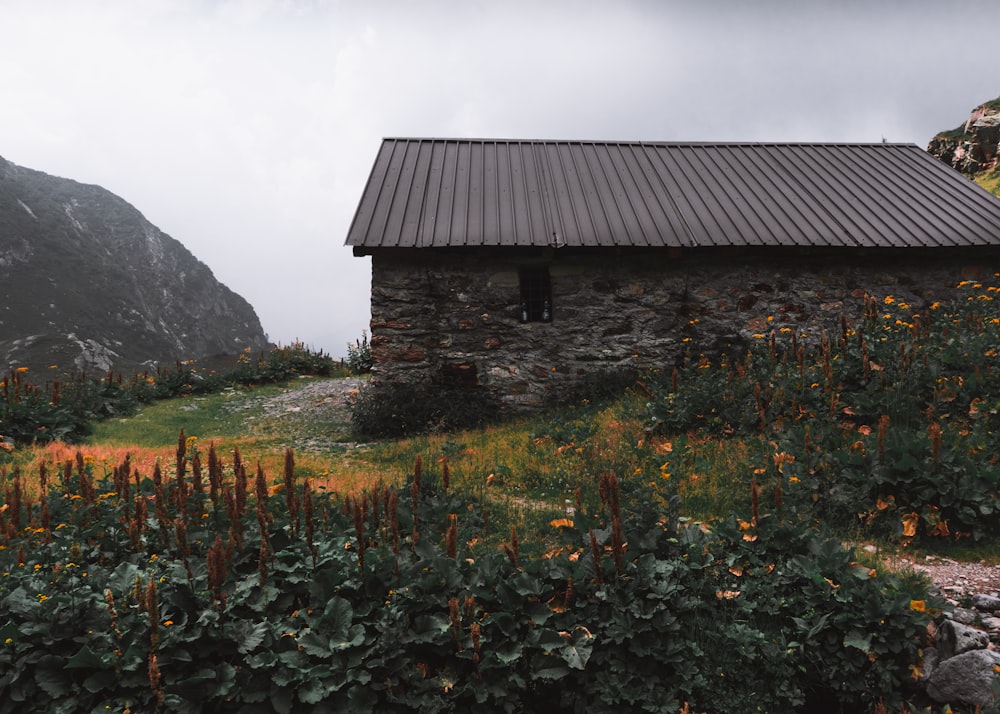 Maison en bois marron sur un champ d’herbe verte près de la montagne sous des nuages blancs pendant la journée