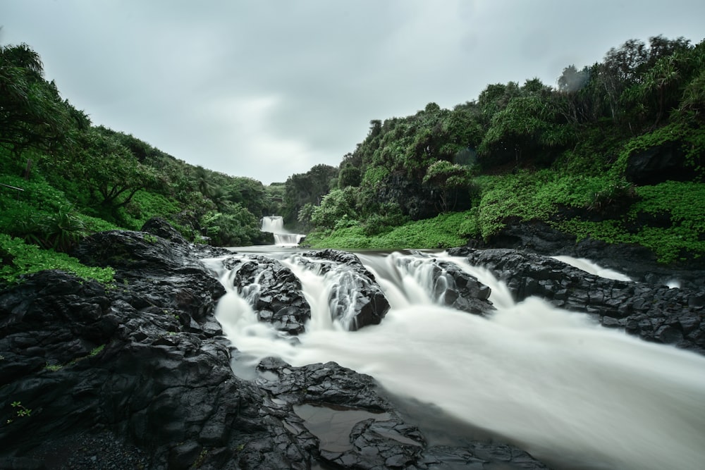 waterfalls in the middle of green trees