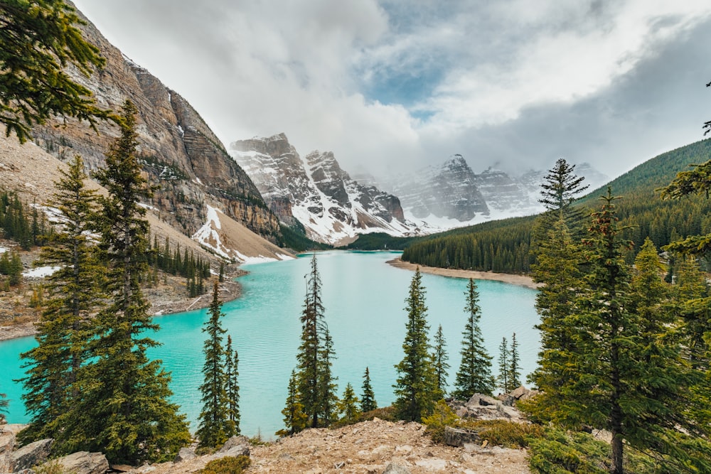 landscape photography of green-leaved trees near body of water