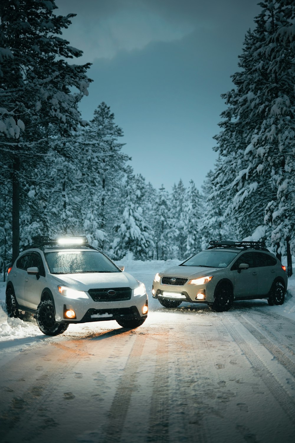 two vehicles parked between trees