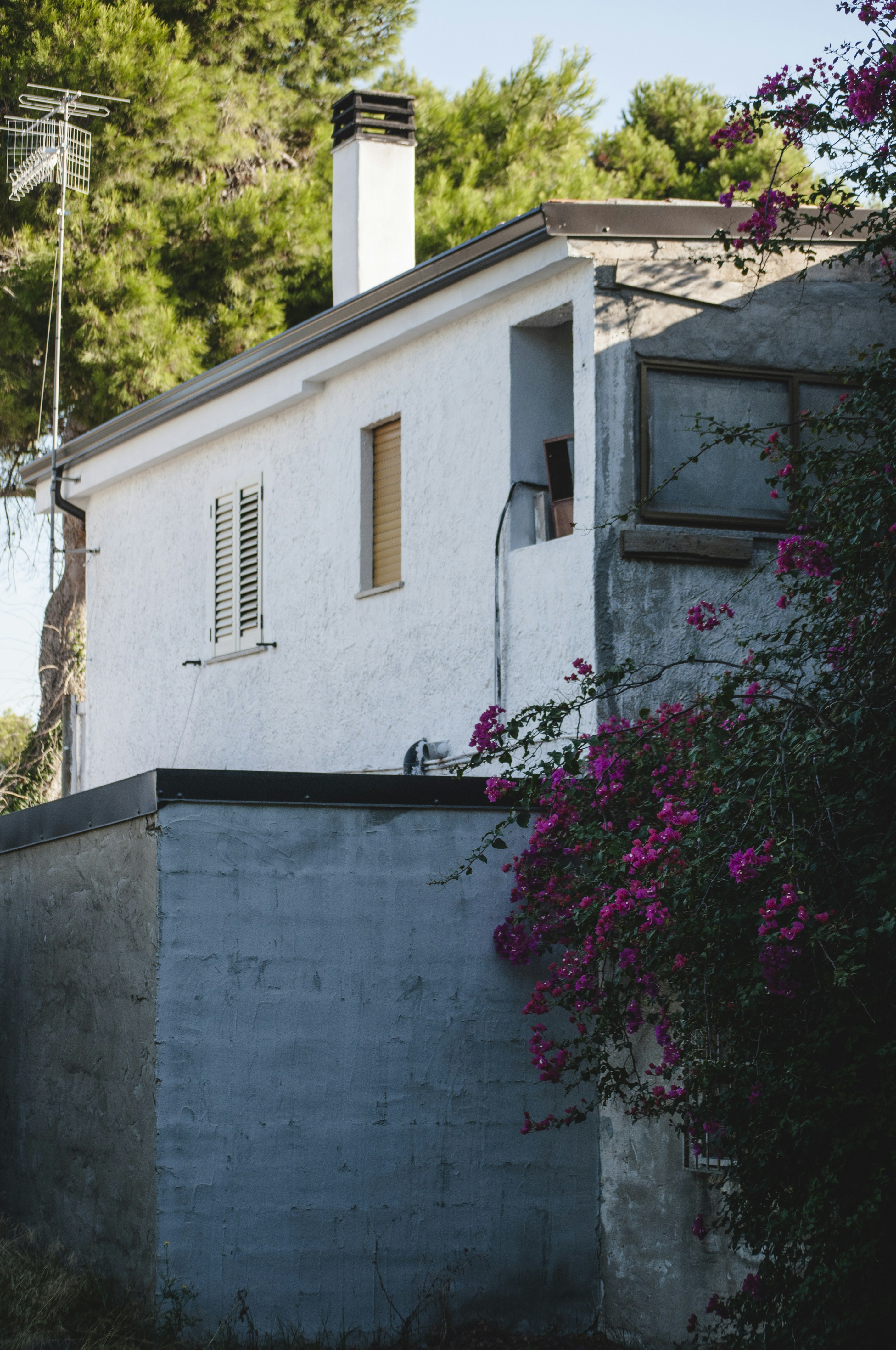 Photo by yuli_superson