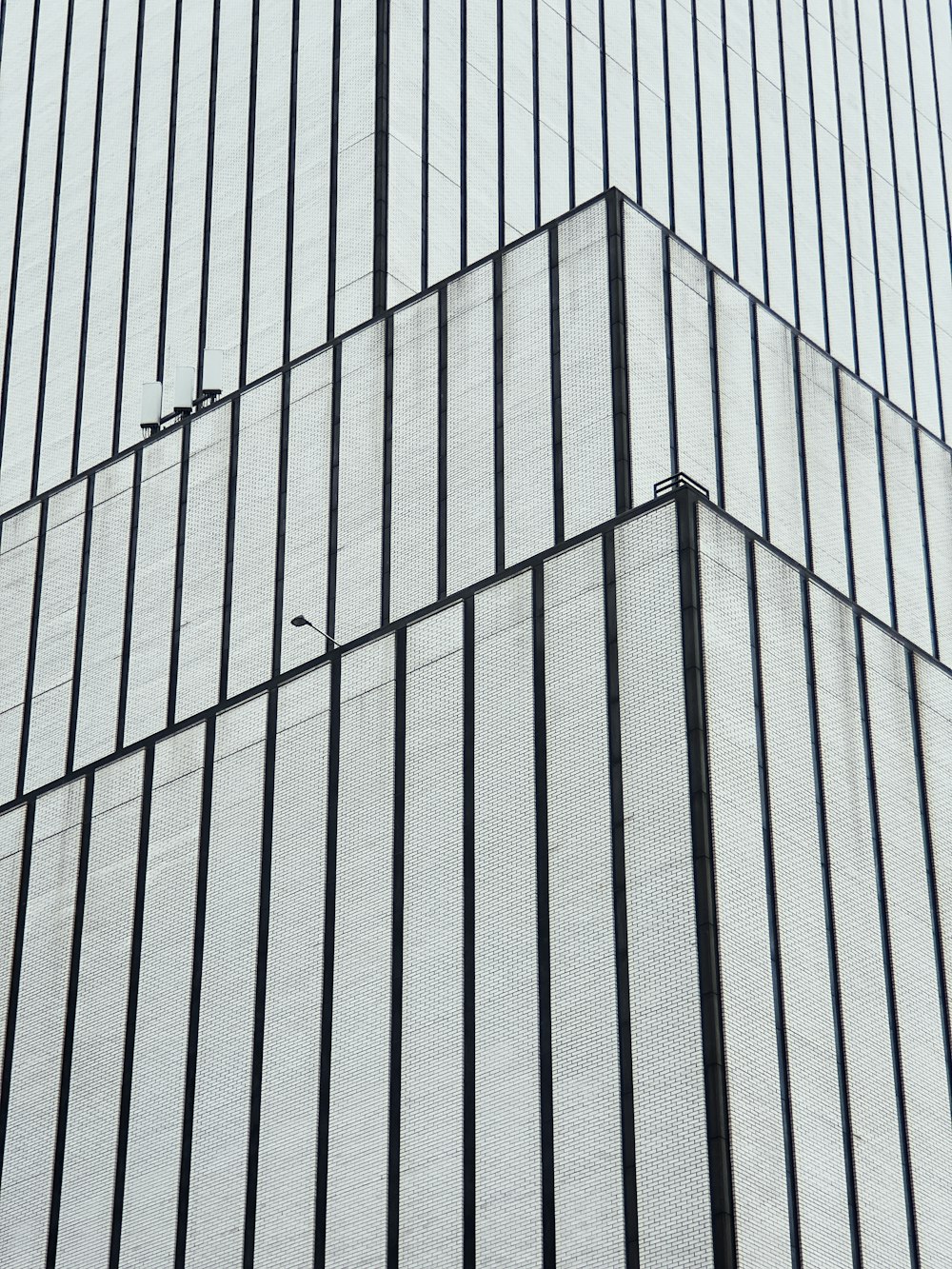 a bird is perched on the side of a tall building