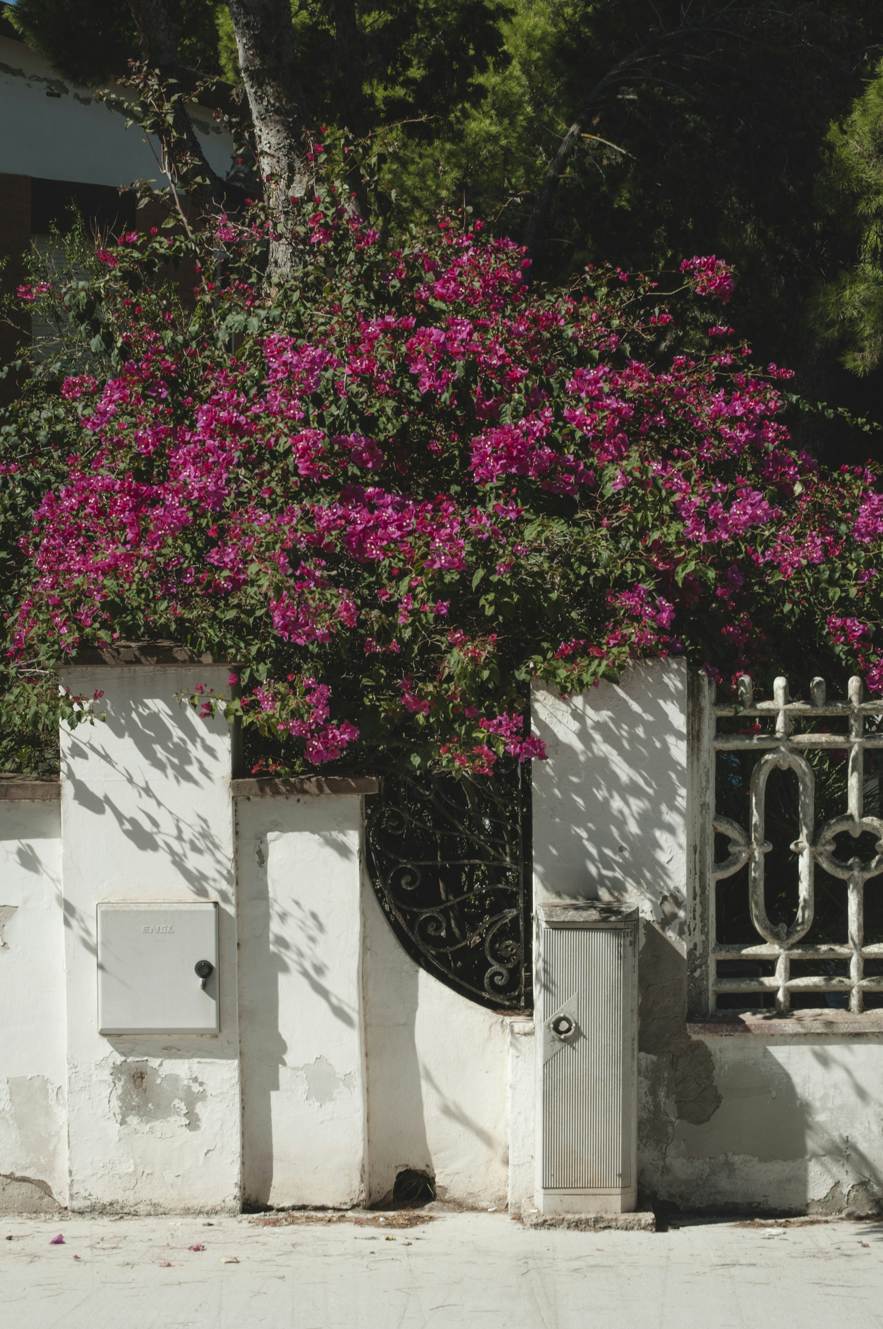 Photo by yuli_superson