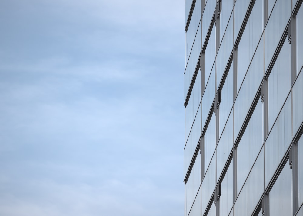 architectural photography of glass building