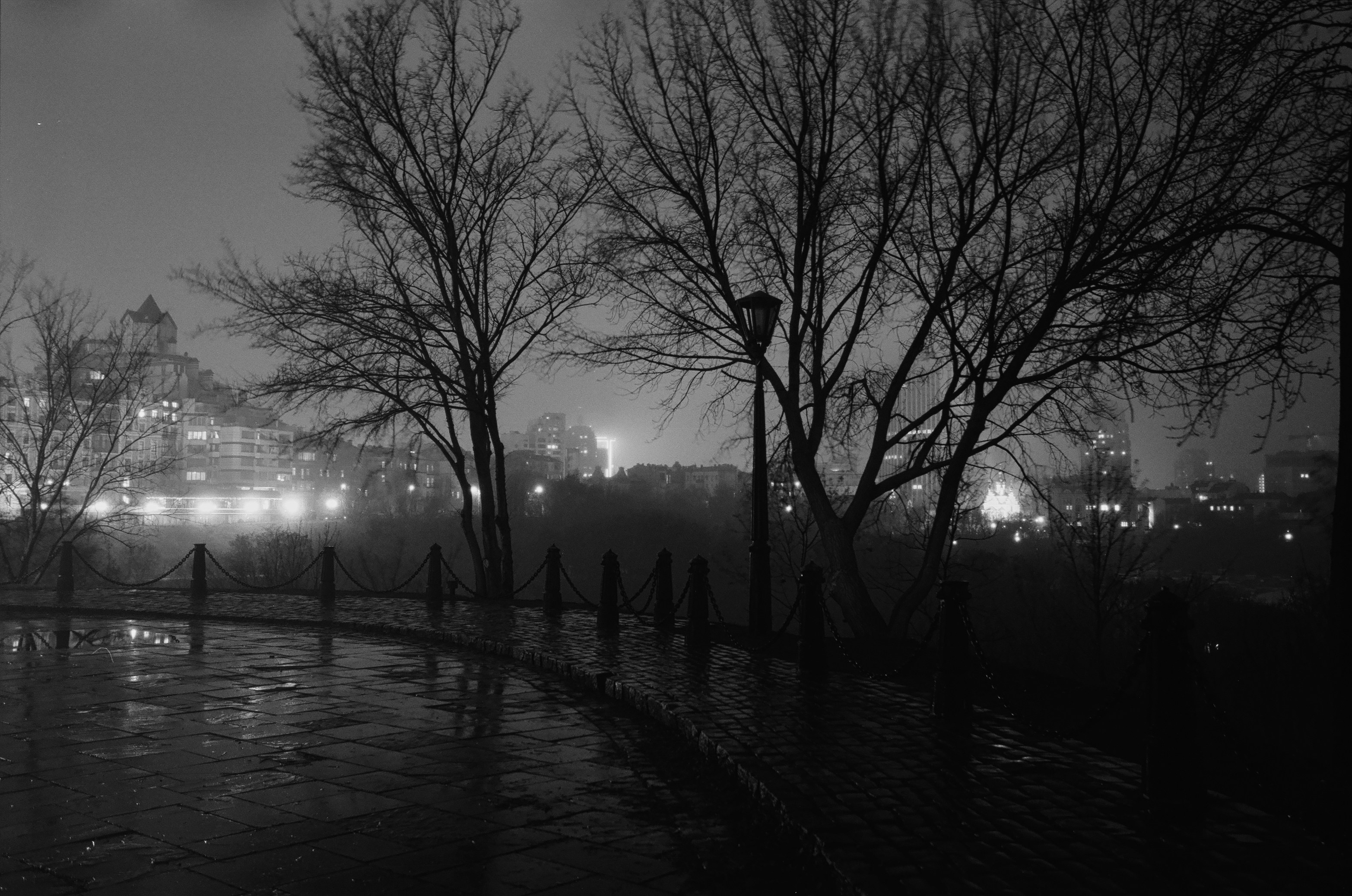 Photo by andrewpetrischev