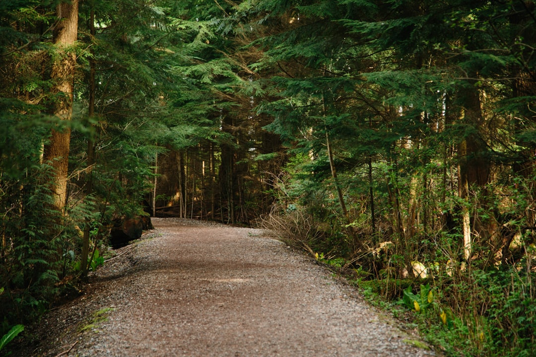 Forest photo spot North Vancouver The University of British Columbia