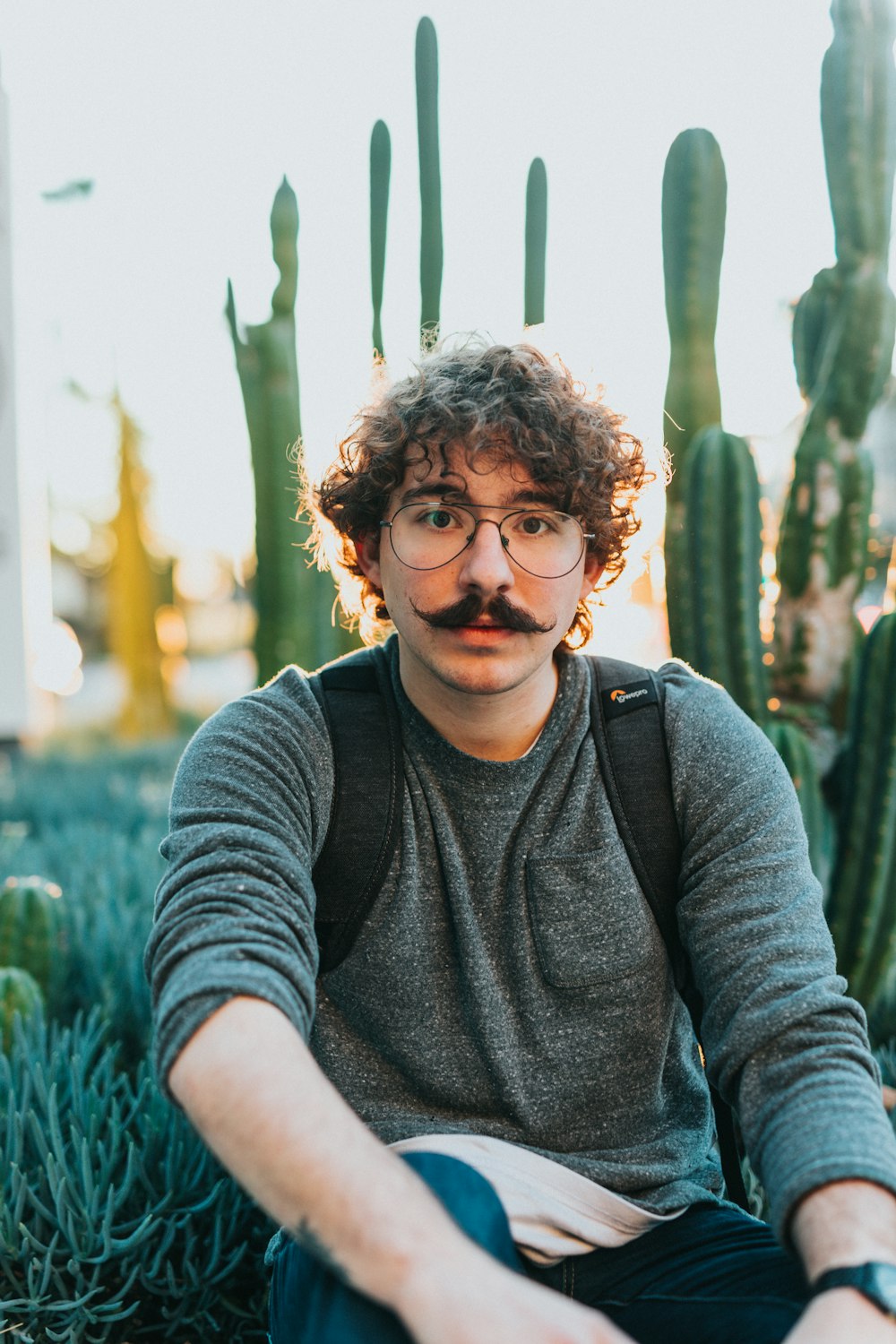selective focus photography of gray shirt sitting beside cacti