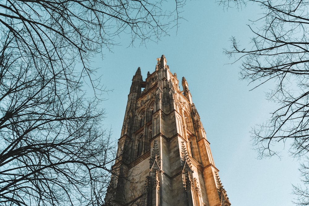 architectural photography of brown monument