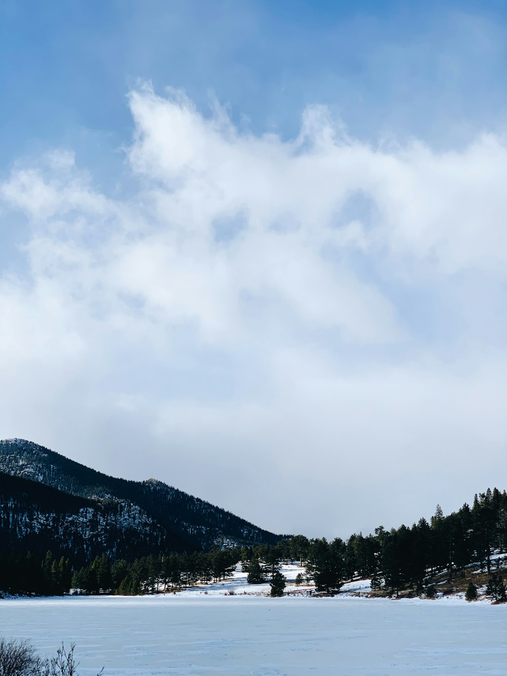 green trees on mountain under white clouds during daytime