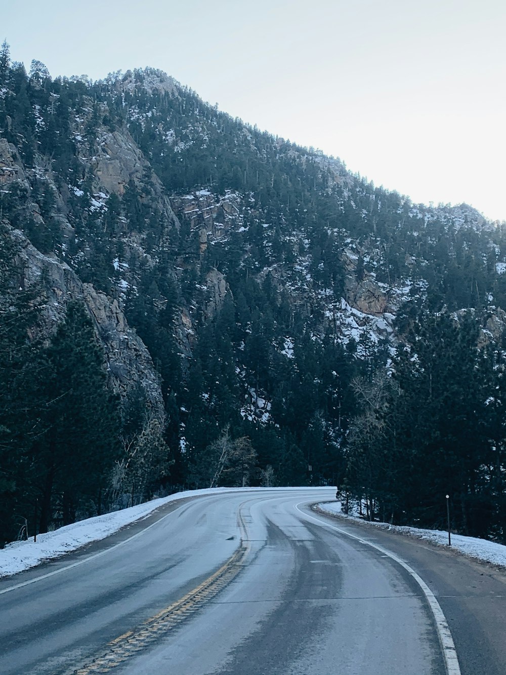 gray asphalt road between trees during daytime