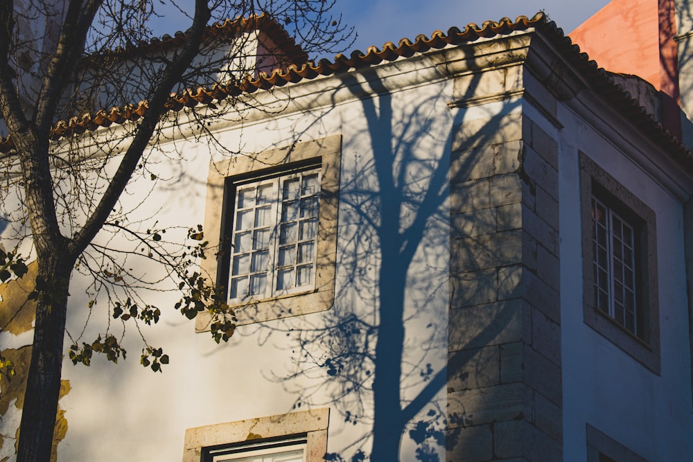 architectural photography of white and gray house