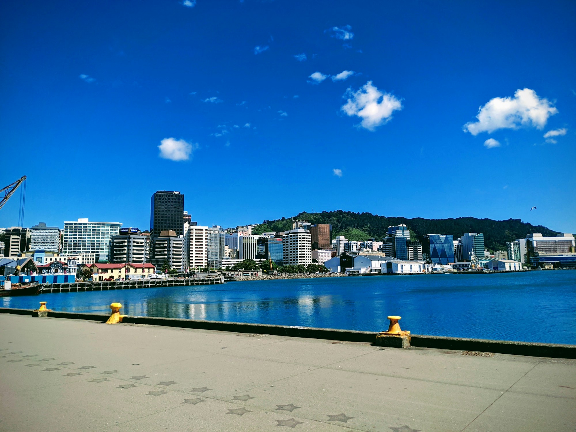 Best Weather & Seasons to Visit Wellington: A Comprehensive Guide