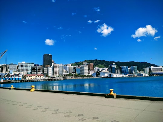 city buildings near body of water in Museum of New Zealand Te Papa Tongarewa New Zealand