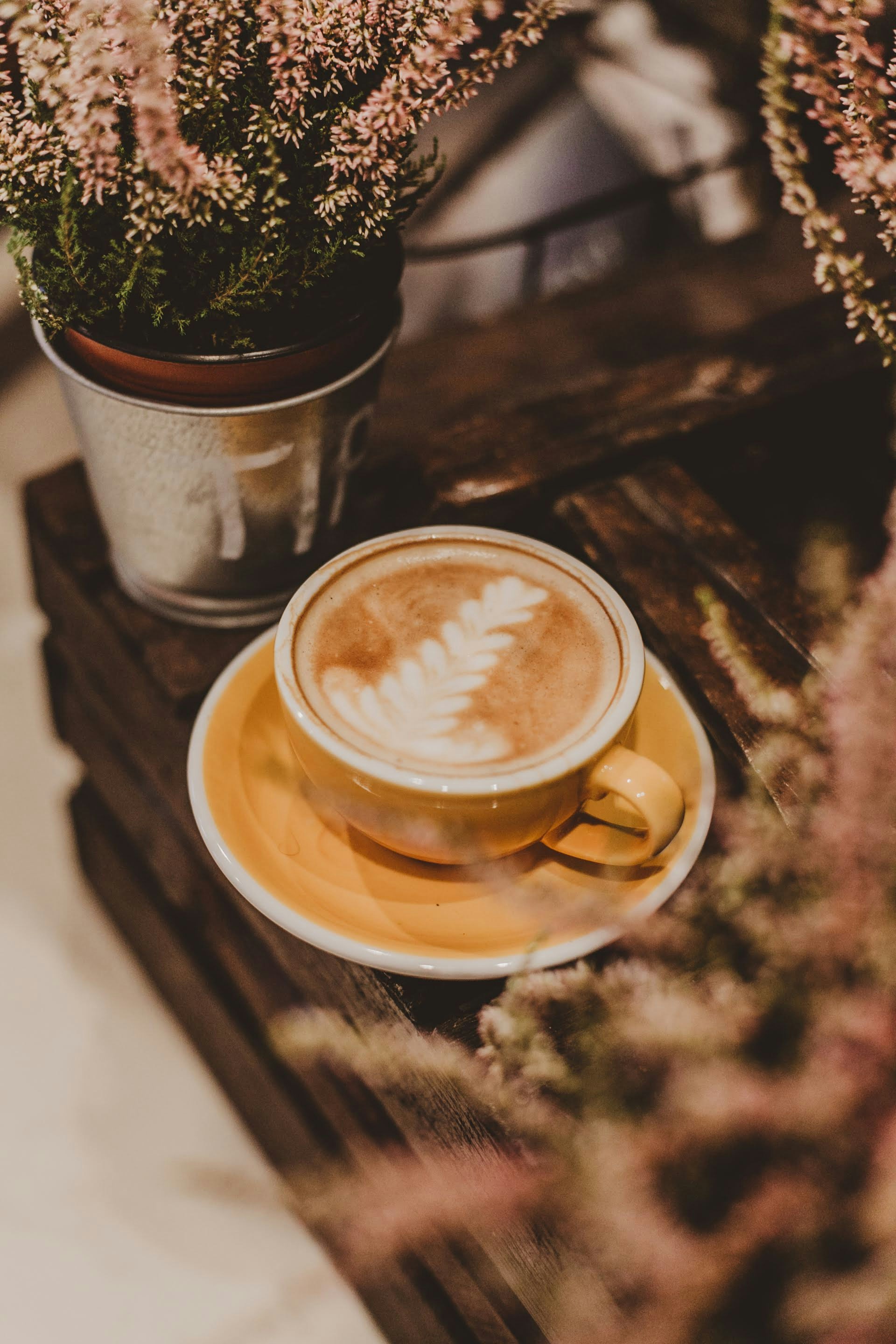 Photo by kingakossobucka