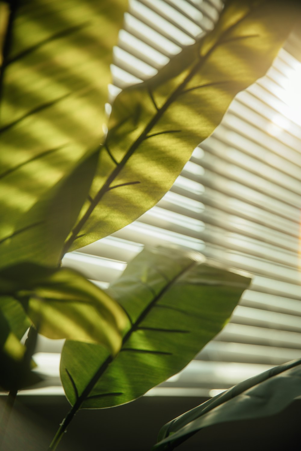 the sun is shining through the blinds of a window