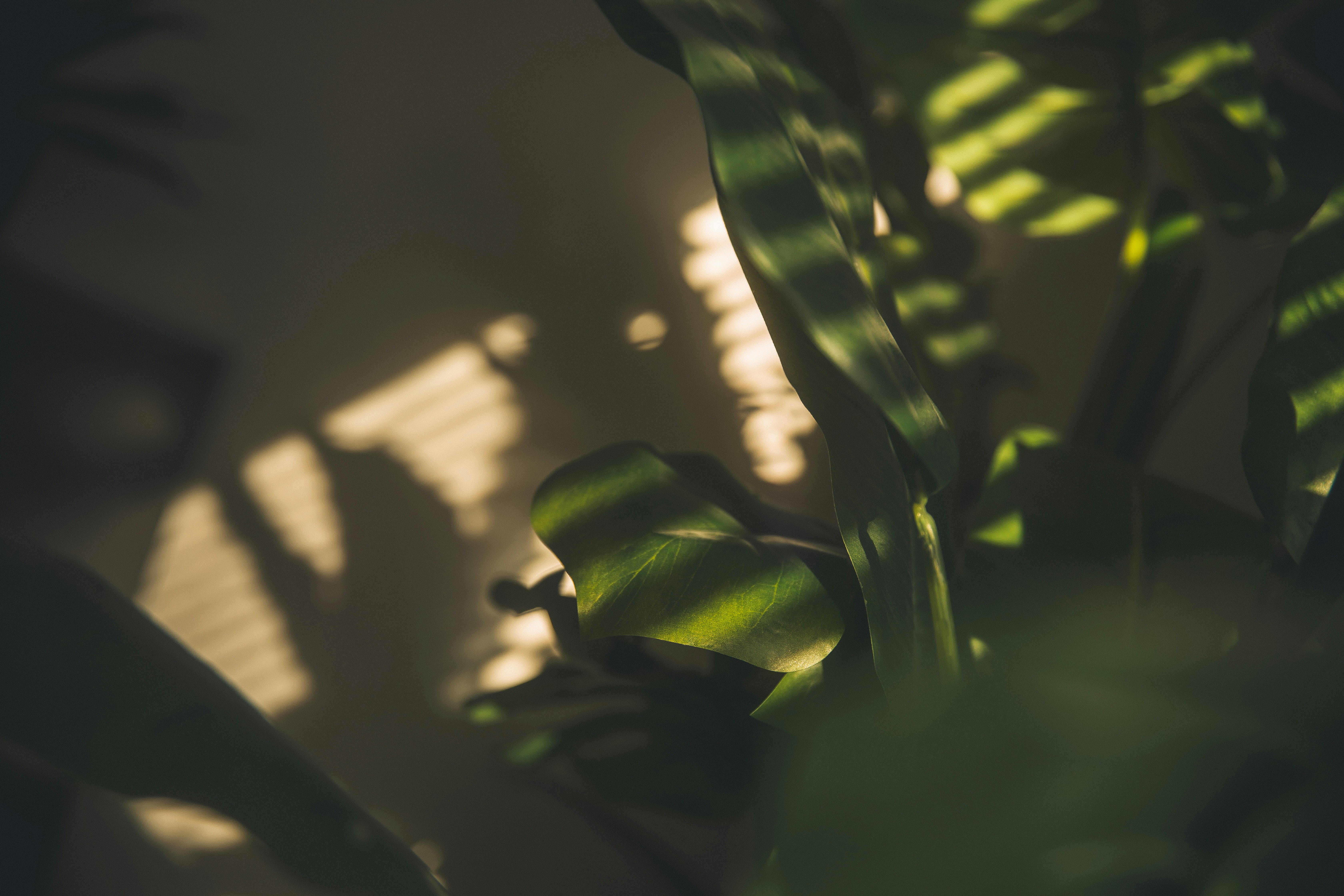 Photo by joshmillerdp