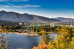 green suspension bridge