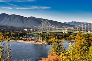 green suspension bridge