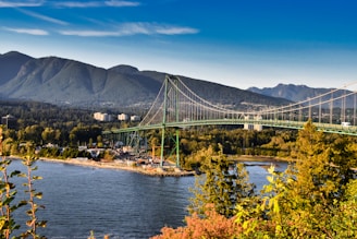green suspension bridge