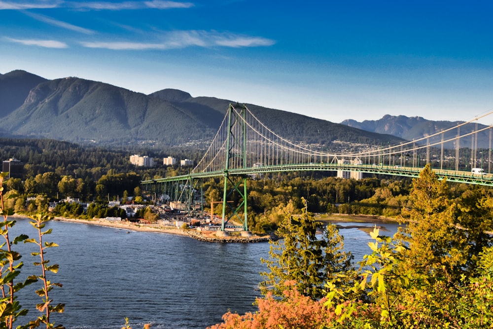 green suspension bridge