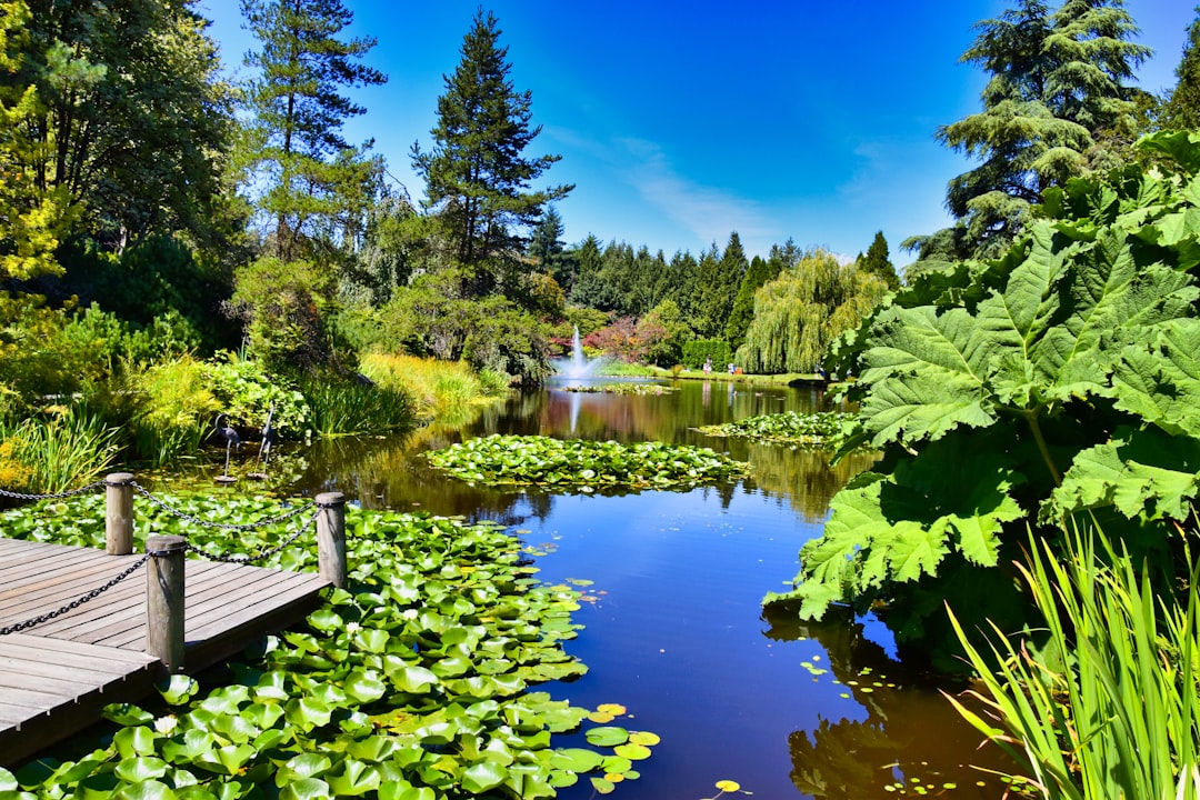 Nature reserve photo spot VanDusen Botanical Garden Squamish River