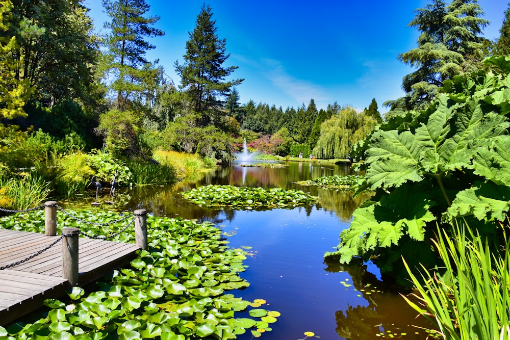 wooden platform on river