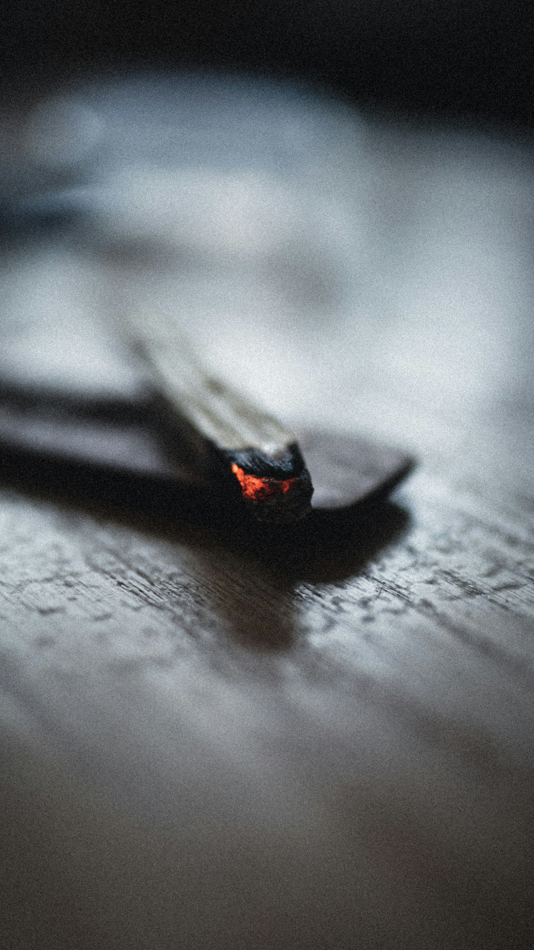 Photo by pkripperprivate