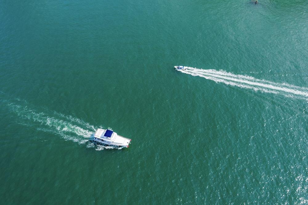 white speedboat on body of water