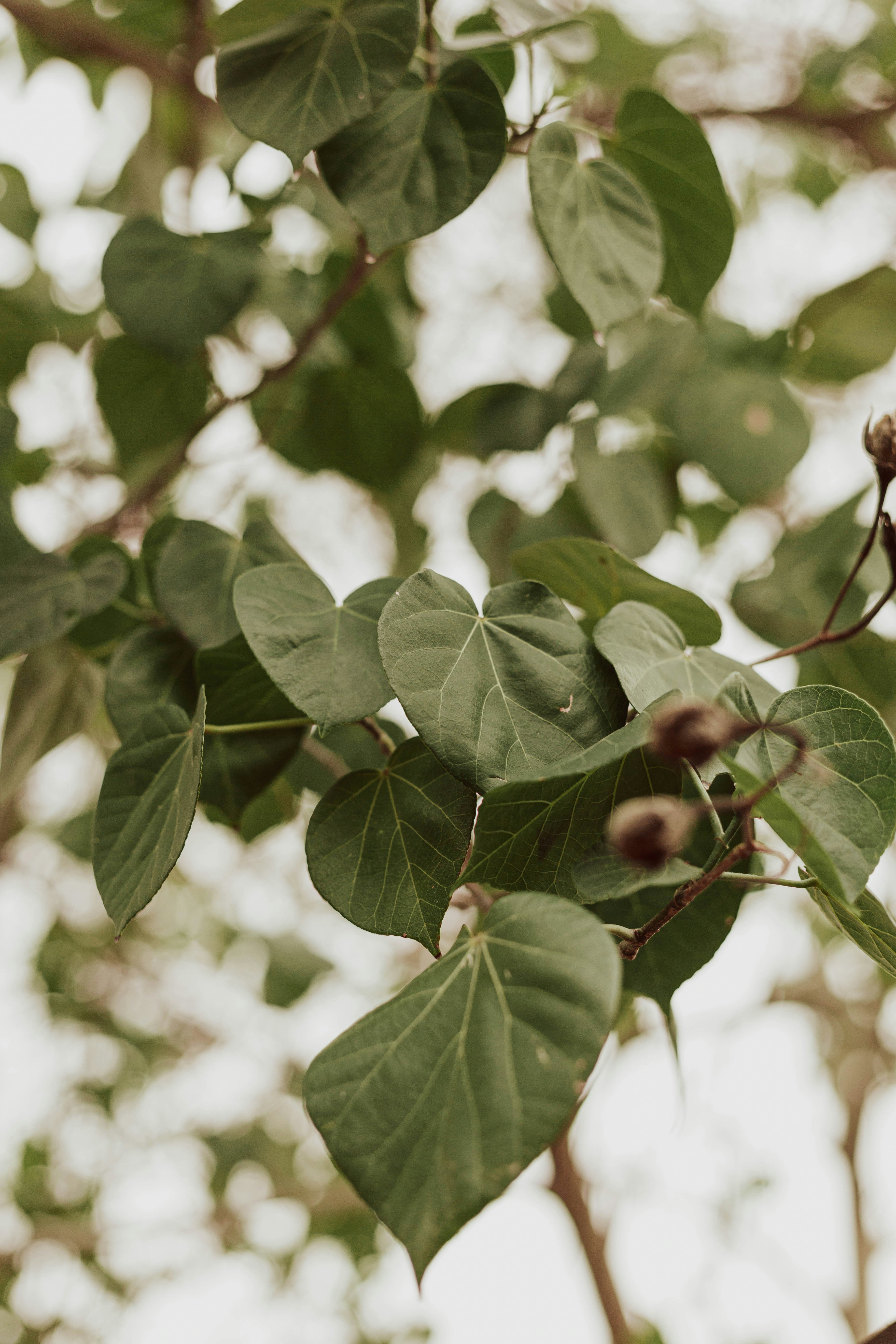 Photo by benignohoyuela