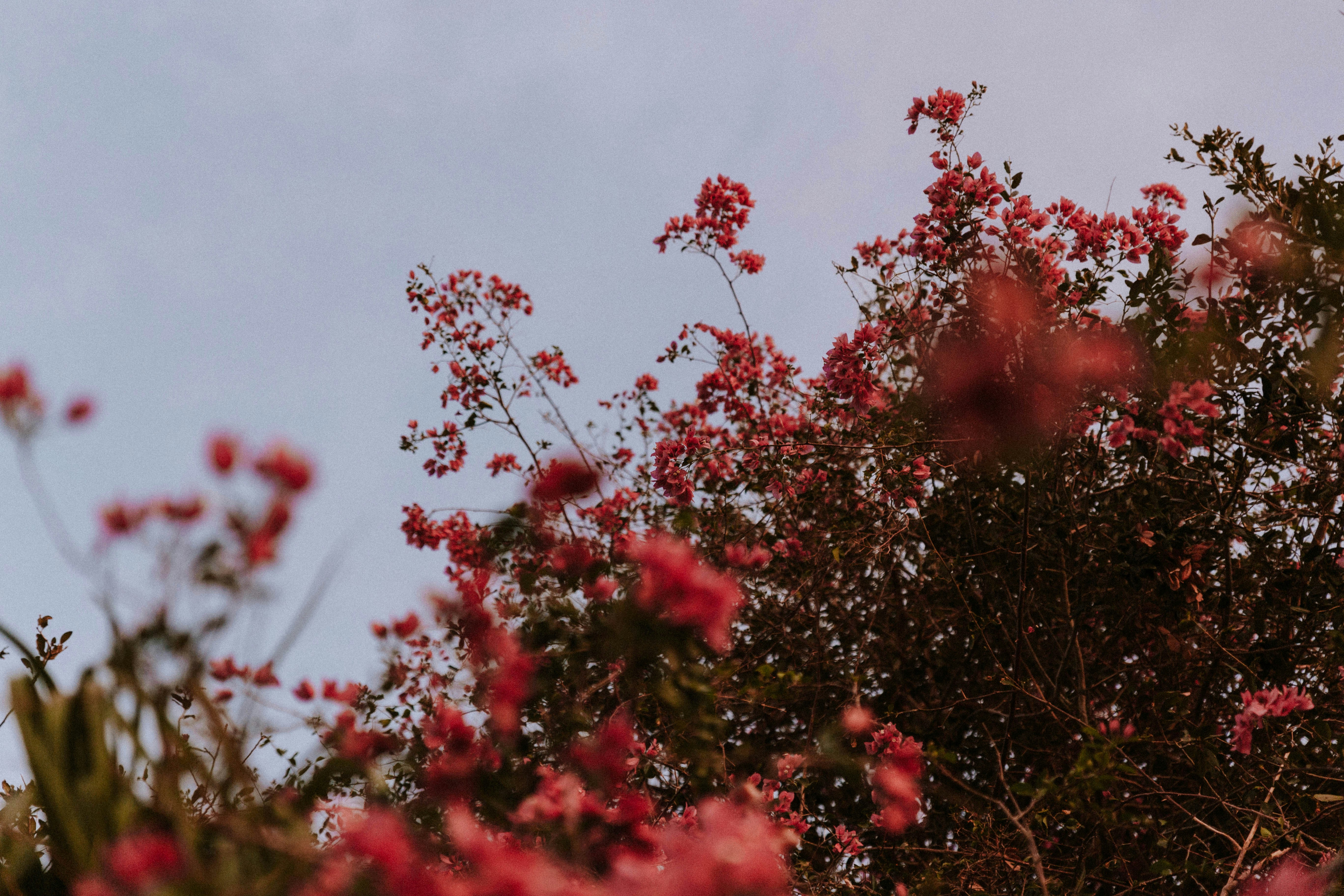 Photo by benignohoyuela