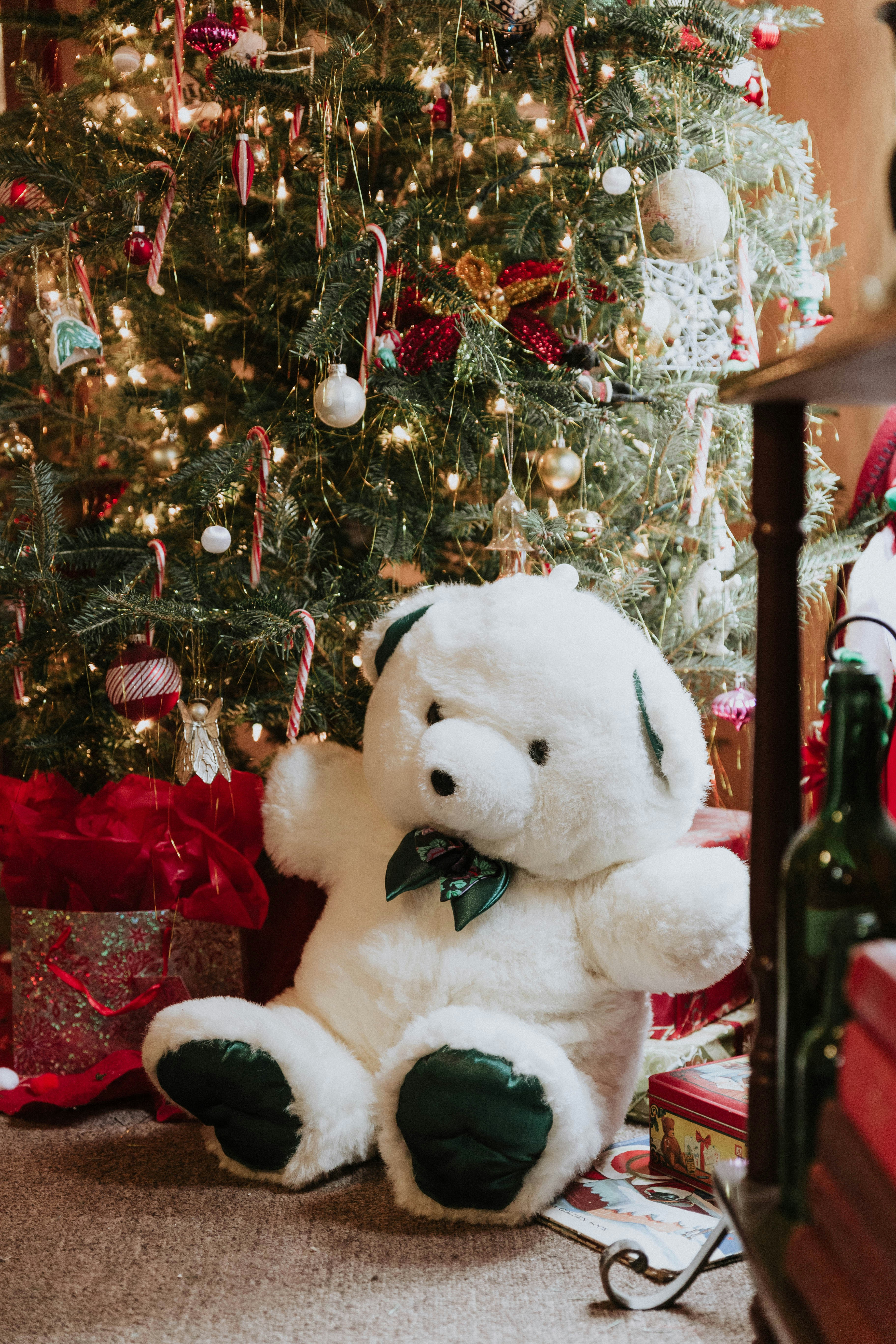 Photo by benignohoyuela