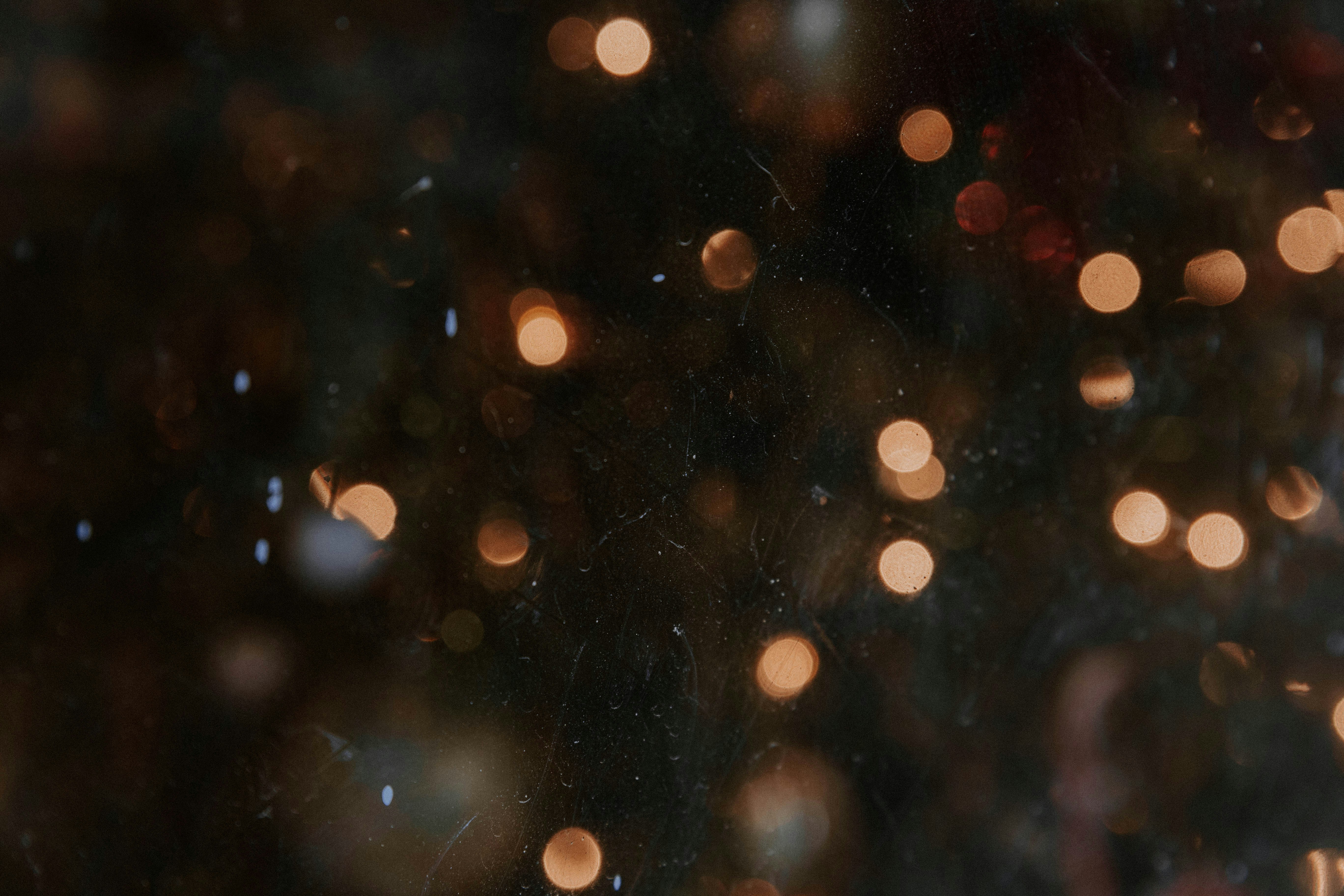 Photo by benignohoyuela