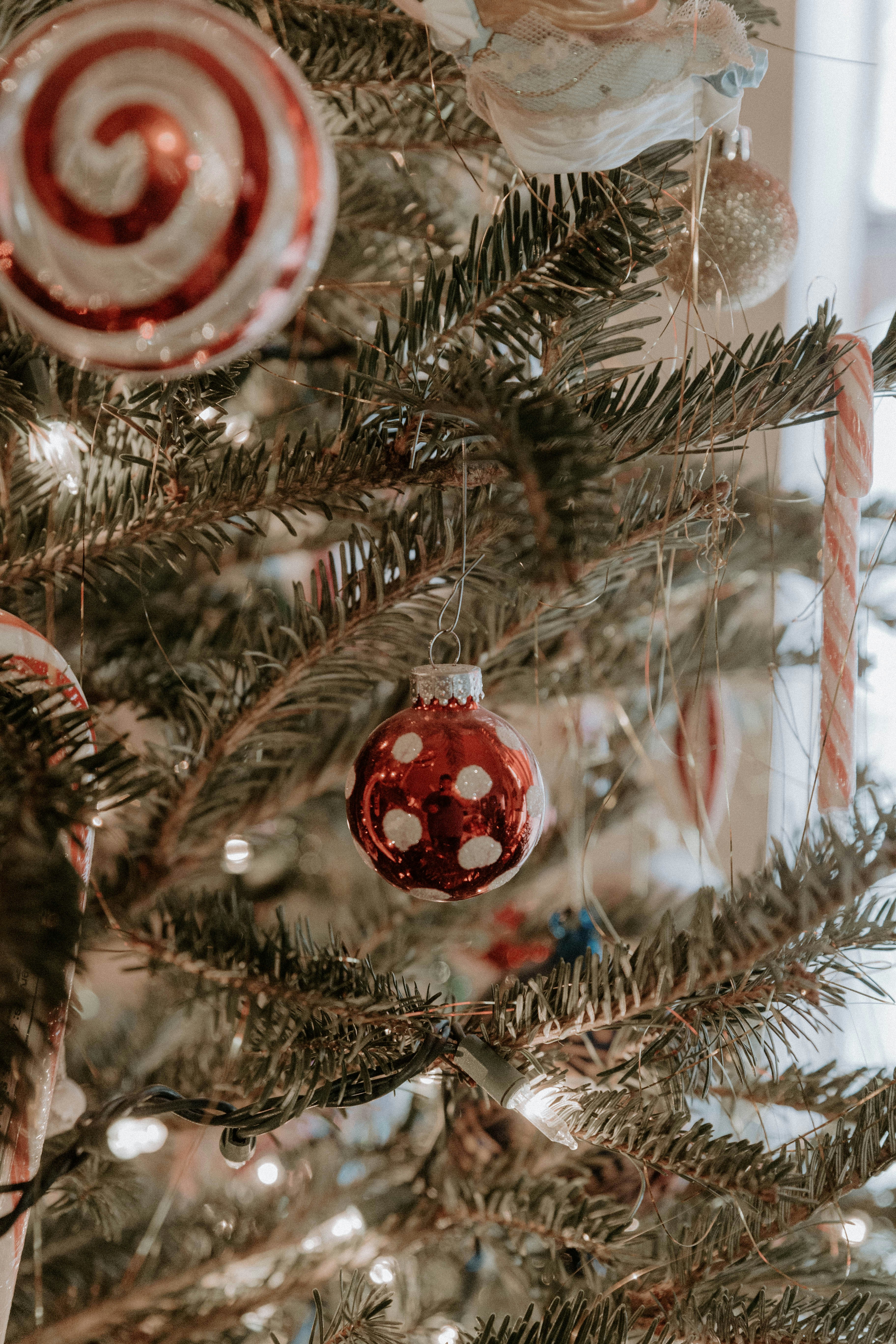 Photo by benignohoyuela