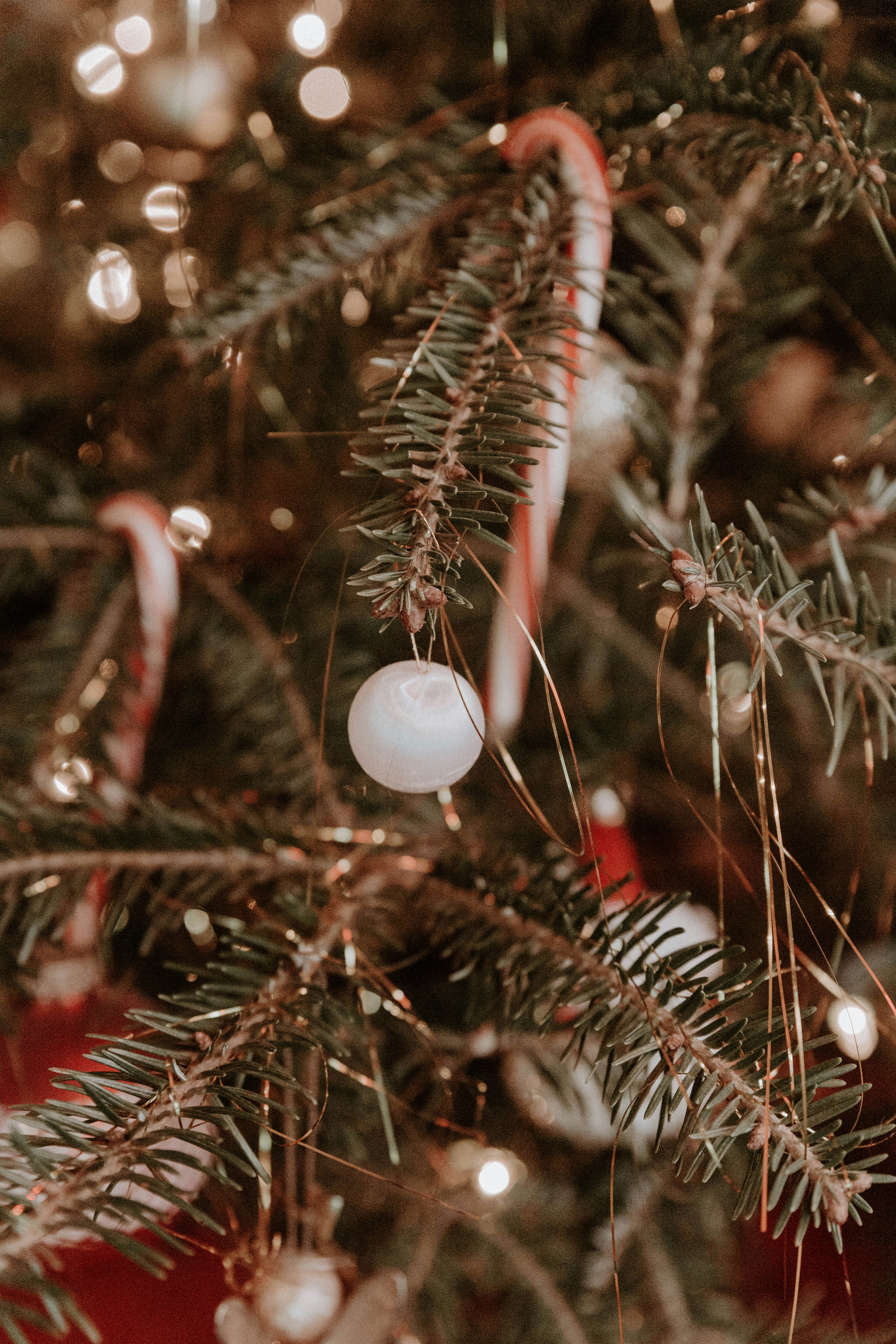 Photo by benignohoyuela