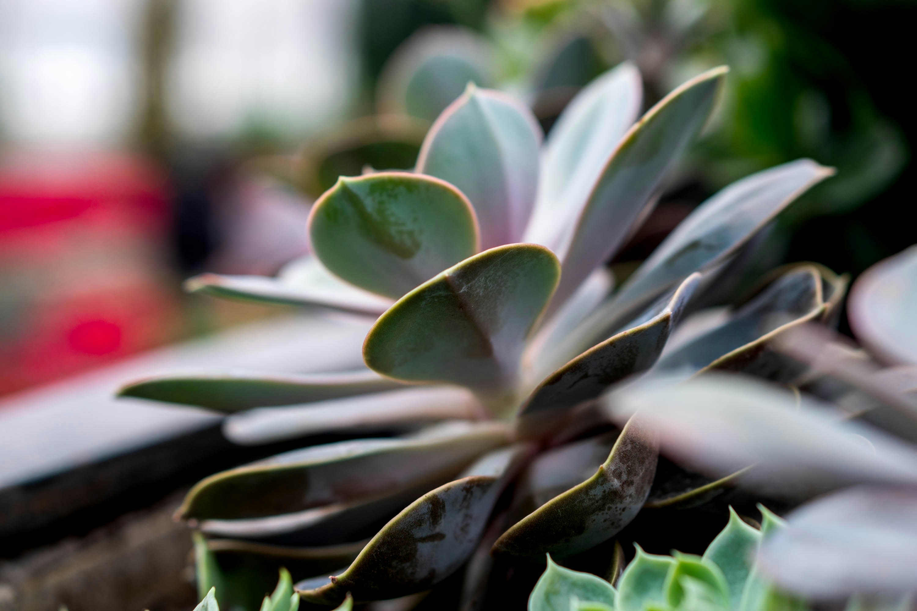 Photo by christinej_keller