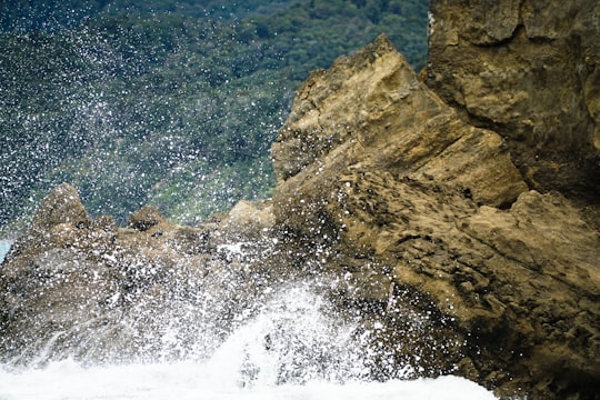 waves crashing on rocks in Fiordland National Park New Zealand